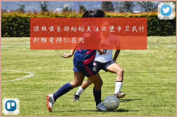 顶级俱乐部纷纷关注汉堡中卫武什科维奇拜仁在列