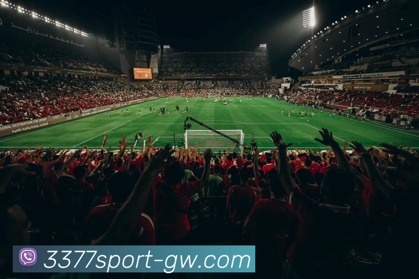 3377体育平台生态图