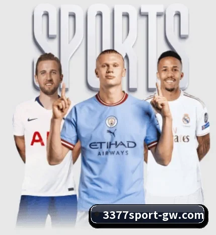 五大服务分区,信息按项目分类 - 多运动项目内容板块（3377Sports）