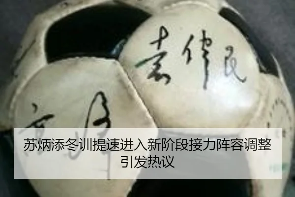 苏炳添冬训提速进入新阶段接力阵容调整引发热议 - 3377Sports